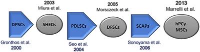 Potential Use of Human Periapical Cyst-Mesenchymal Stem Cells (hPCy-MSCs) as a Novel Stem Cell Source for Regenerative Medicine Applications